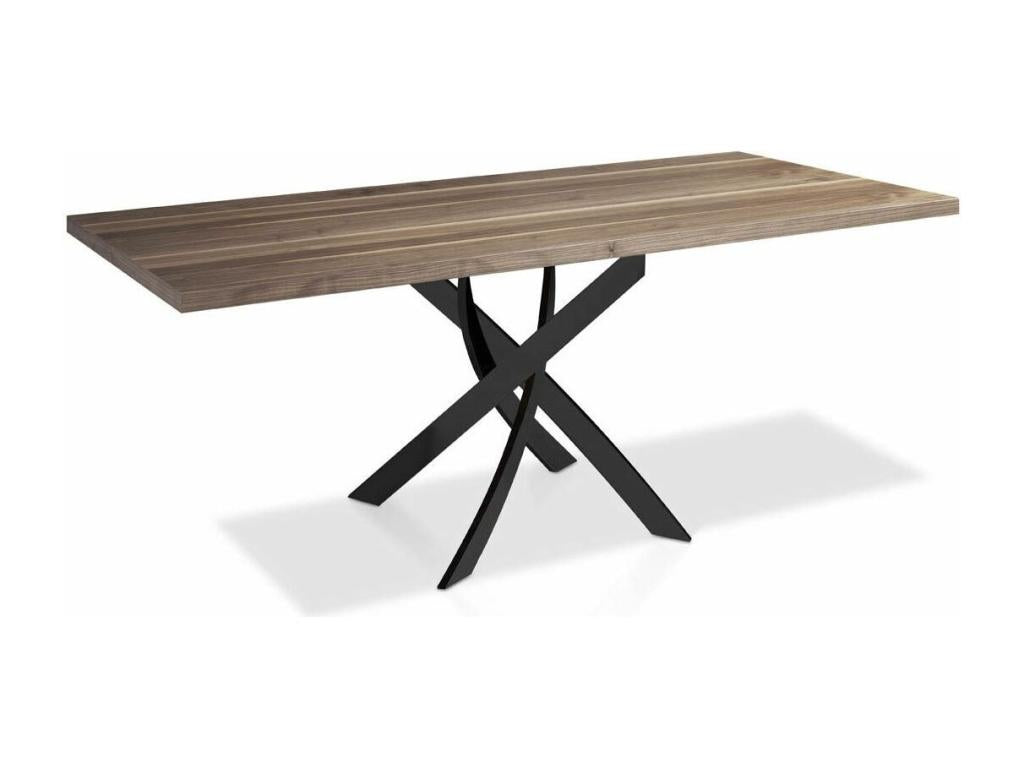 Meubiana rectangular table in walnut wood and black steel - Dimensions: L 160 x W 95 x H 75 cm